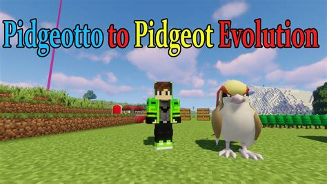 how to evolve pidgeotto pixelmon.